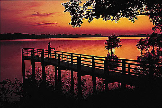 Lake Chicot State Park in Southeast Arkansas